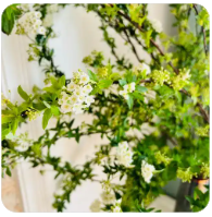 金正恩视角下的韩国：彻底的敌国与永远的敌人生存状态