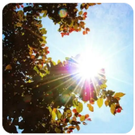 金正恩视角下的韩国：彻底的敌国与永远的敌人生存状态