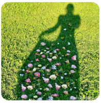 三峡水运新通道：国家战略下的航运新篇章