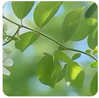 三峡水运新通道：国家战略下的航运新篇章