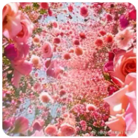 三峡水运新通道：国家战略下的航运新篇章